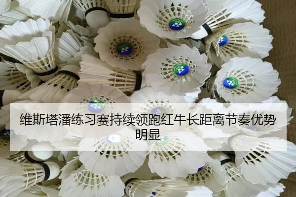 维斯塔潘练习赛持续领跑红牛长距离节奏优势明显
