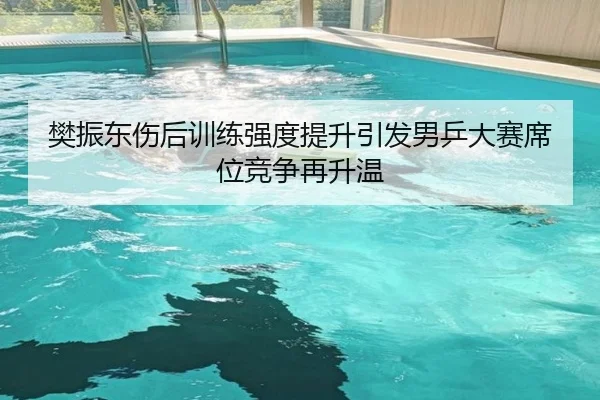 樊振东伤后训练强度提升引发男乒大赛席位竞争再升温
